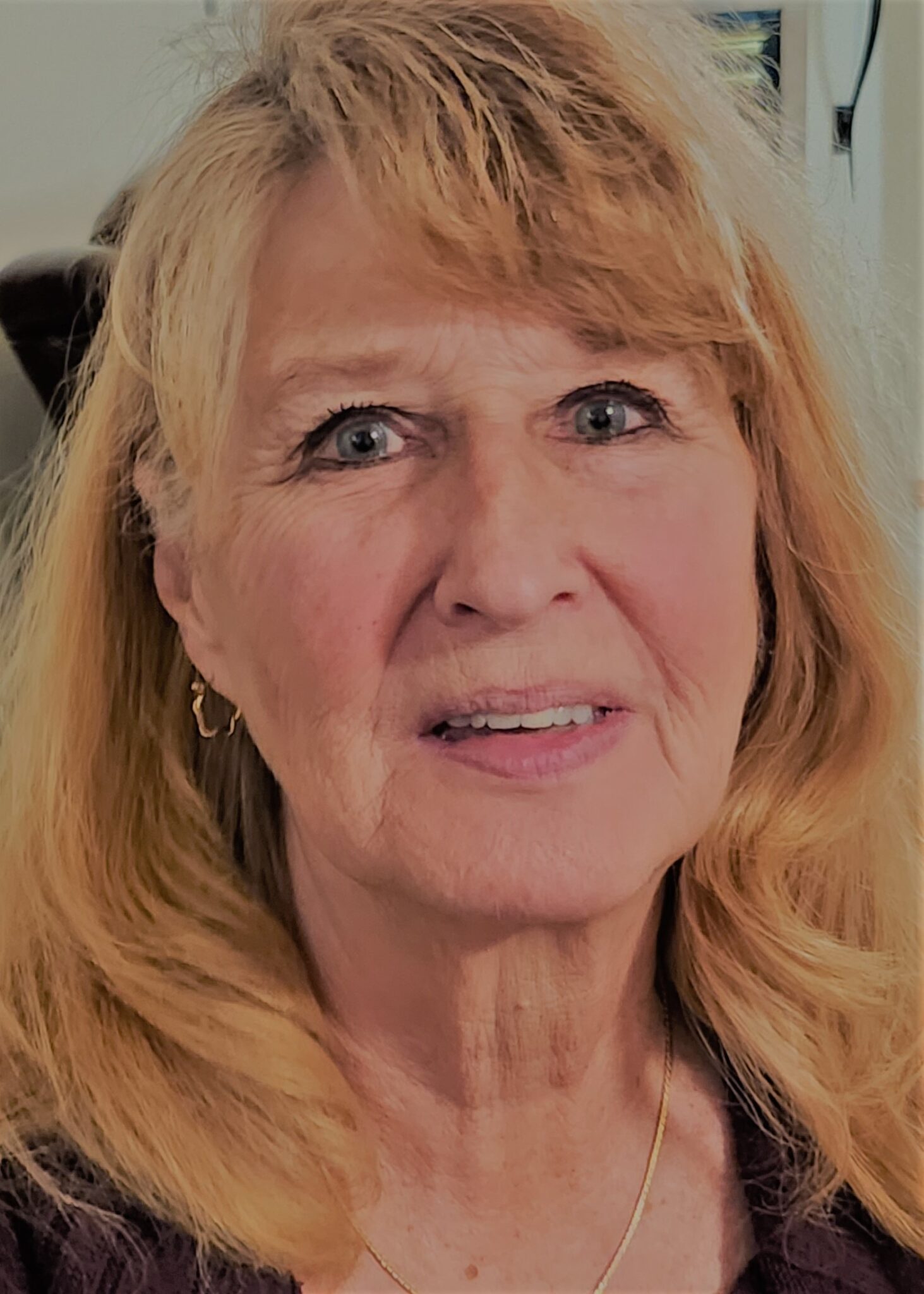 CHS VOLUNTEER PROFILE Caledonia Historical Society